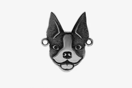 Boston Terrier