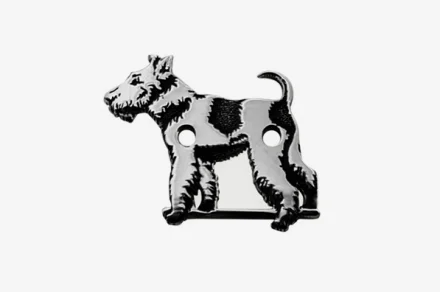 Foxterrier 2