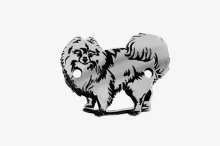 Pomerániai törpespicc 2